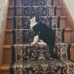 Meet your Posher, Todd